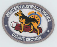 FOREIGN,AUSTRALIA,WESTERN AUSTRALIA POLICE K-9 5